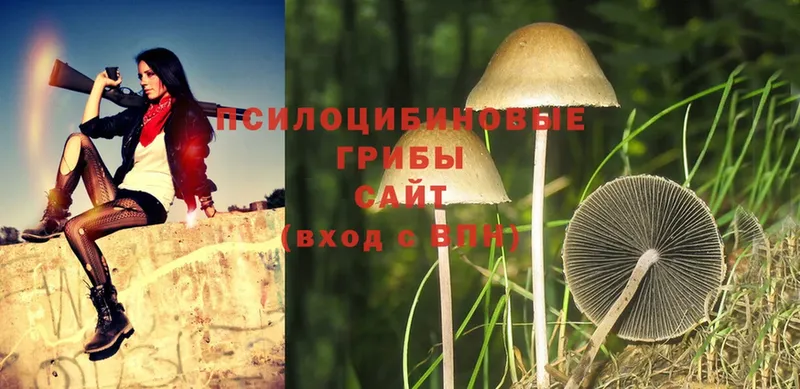 МЕГА ссылки  Балашов  Галлюциногенные грибы Magic Shrooms 