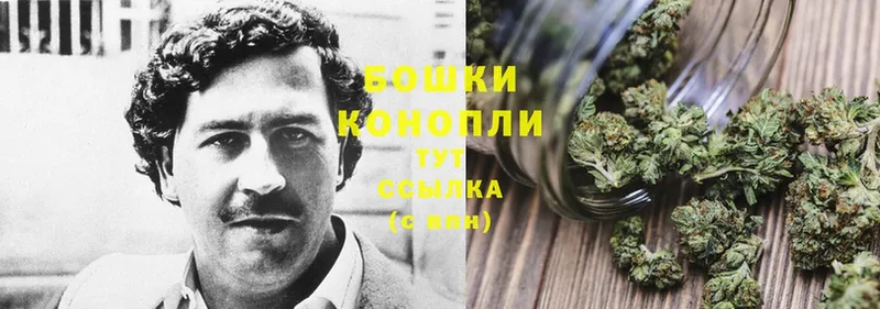 закладки  Балашов  Конопля LSD WEED 